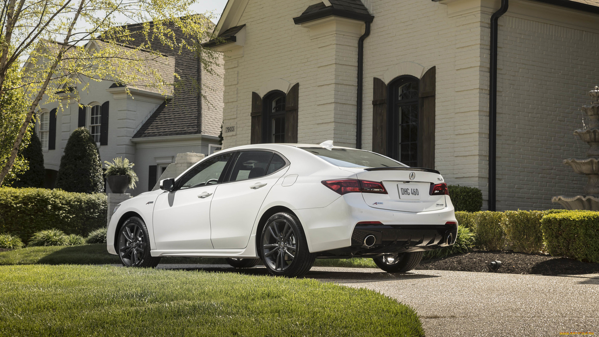 acura tlx a-spec sh-awd 2019, , acura, a-spec, tlx, sh-awd, , 2019